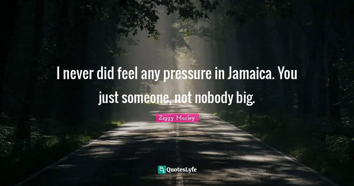 I never did feel any pressure in Jamaica. You just someone, not nobody big.