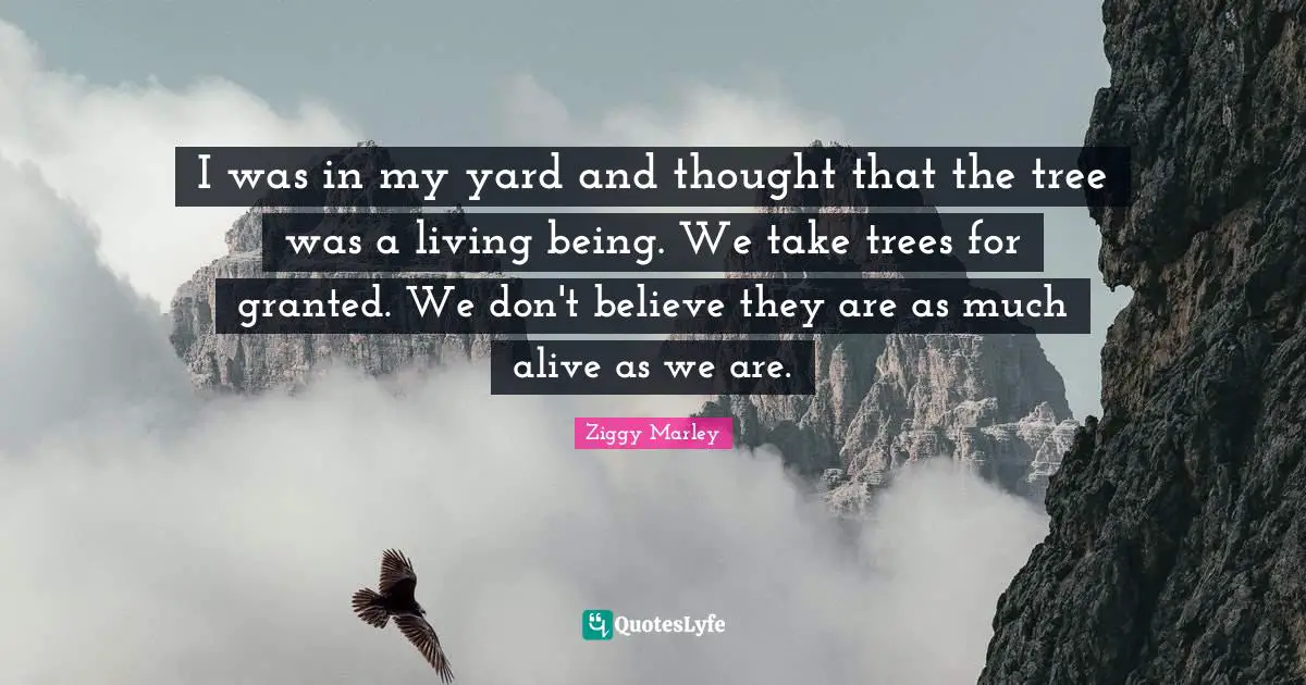 I was in my yard and thought that the tree was a living being. We take trees for granted. We don't believe they are as much alive as we are.