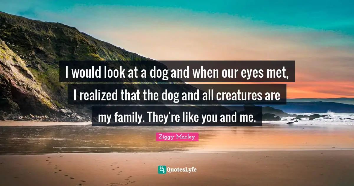 I would look at a dog and when our eyes met, I realized that the dog and all creatures are my family. They're like you and me.