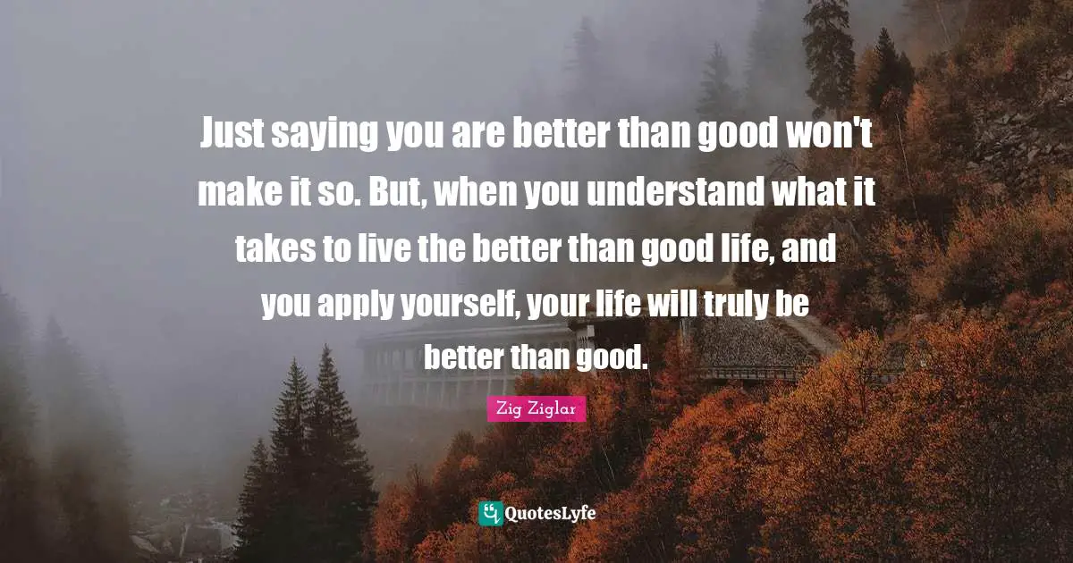 Just saying you are better than good won't make it so. But, when you understand what it takes to live the better than good life, and you apply yourself, your life will truly be better than good.