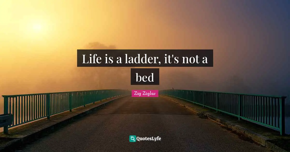 Life is a ladder, it's not a bed