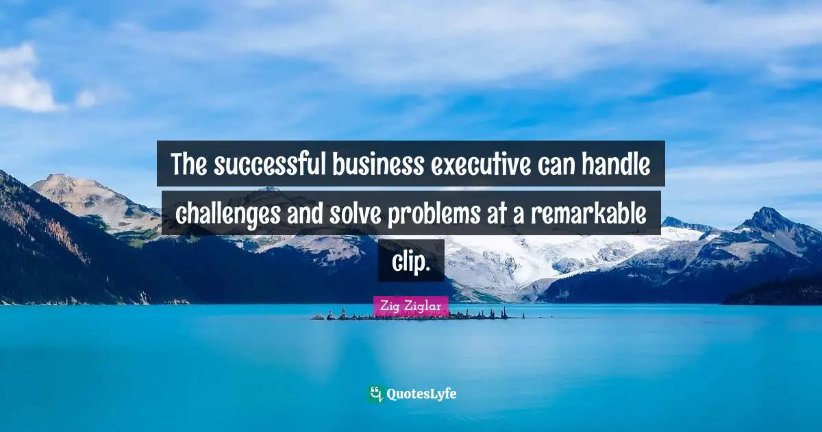 The successful business executive can handle challenges and solve problems at a remarkable clip.
