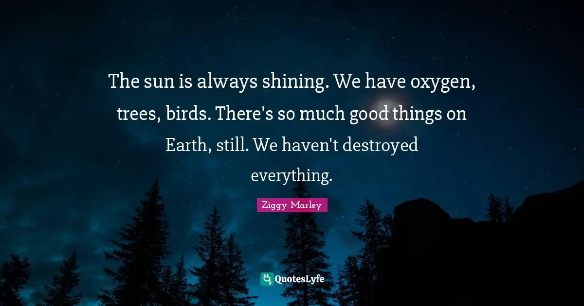 The sun is always shining. We have oxygen, trees, birds. There's so much good things on Earth, still. We haven't destroyed everything.