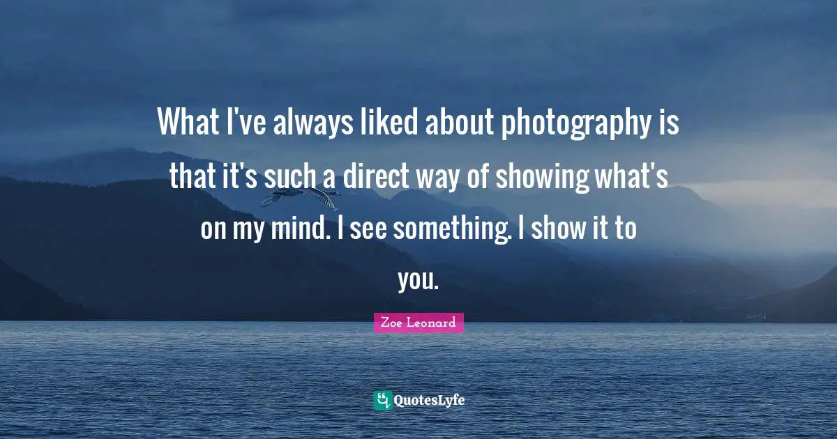 What I've always liked about photography is that it's such a direct way of showing what's on my mind. I see something. I show it to you.