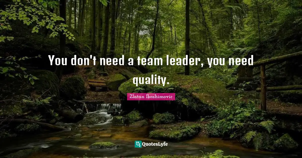 You don't need a team leader, you need quality.
