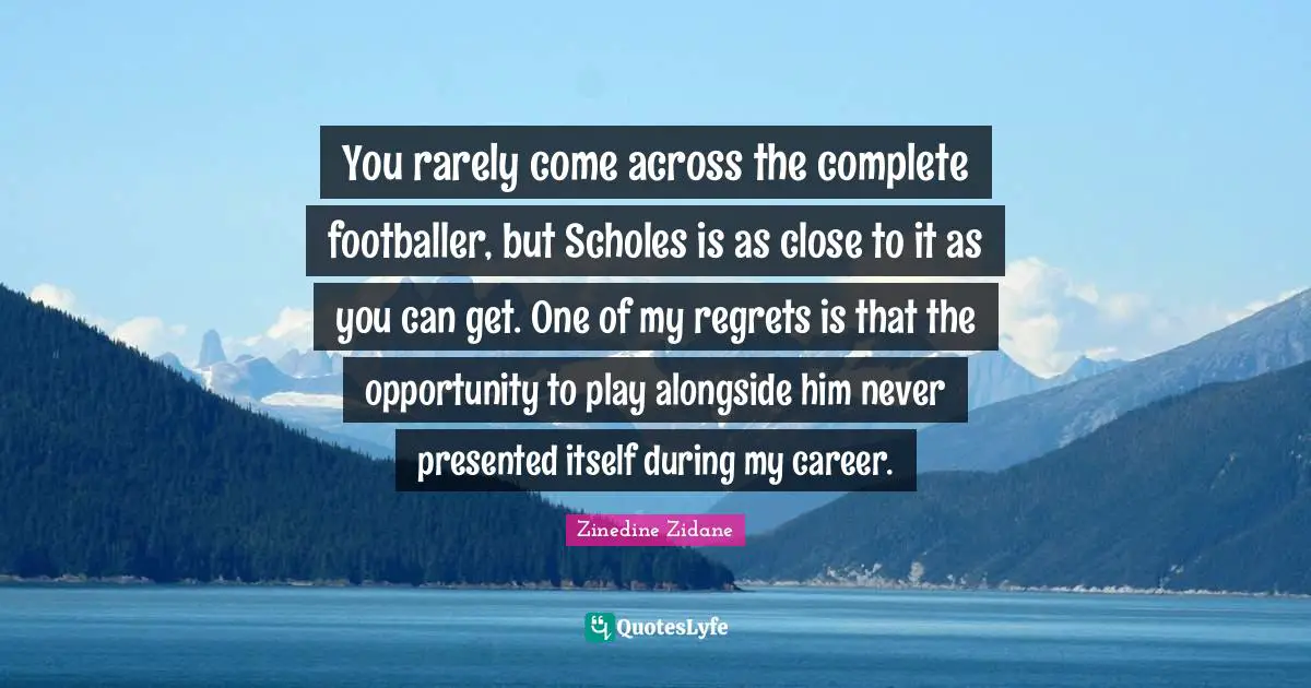 You rarely come across the complete footballer, but Scholes is as close to it as you can get. One of my regrets is that the opportunity to play alongside him never presented itself during my career.