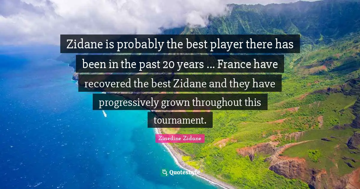 Zidane is probably the best player there has been in the past 20 years ... France have recovered the best Zidane and they have progressively grown throughout this tournament.