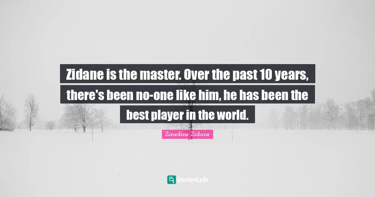 Zidane is the master. Over the past 10 years, there's been no-one like him, he has been the best player in the world.