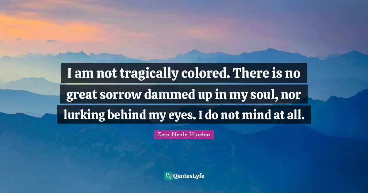 I am not tragically colored. There is no great sorrow dammed up in my soul, nor lurking behind my eyes. I do not mind at all.