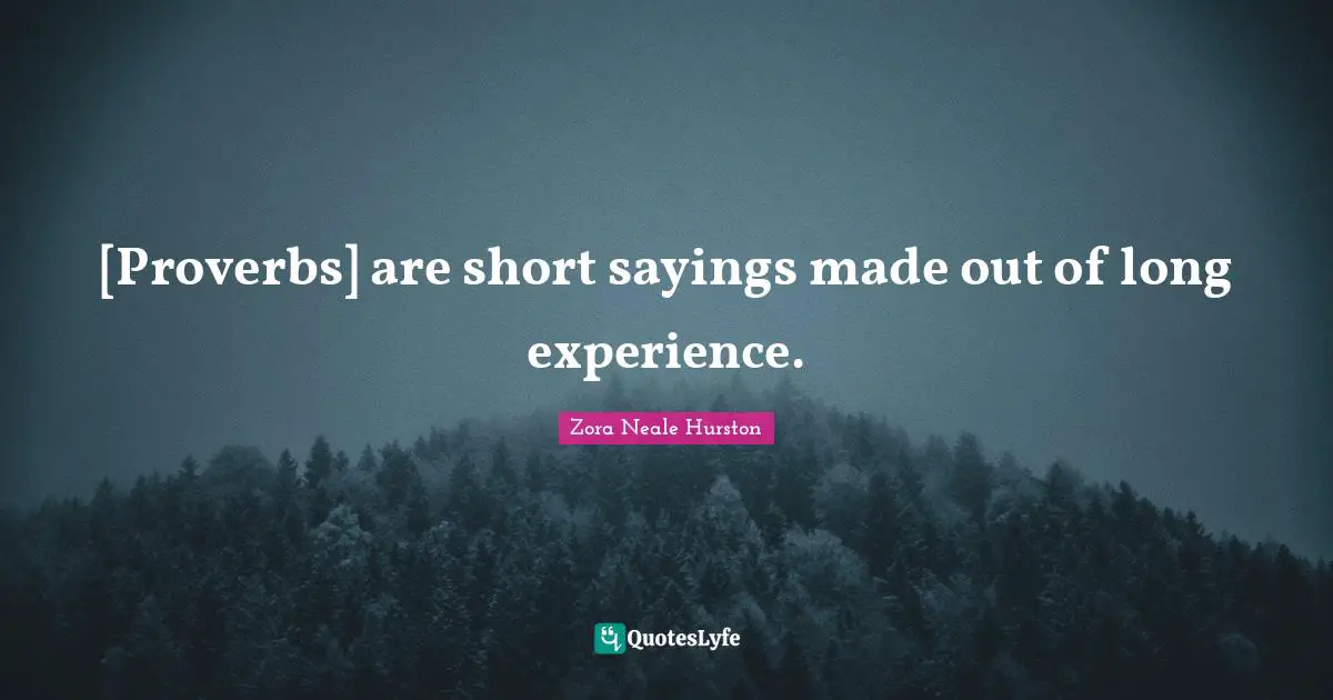 [Proverbs] are short sayings made out of long experience.