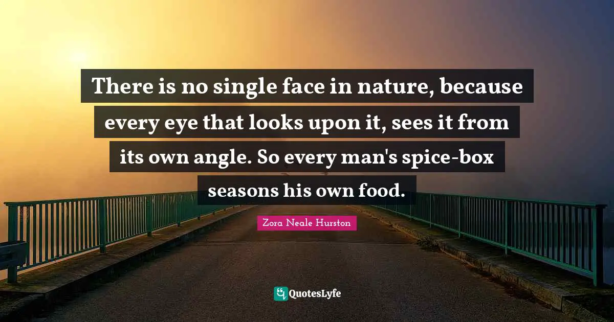 There is no single face in nature, because every eye that looks upon it, sees it from its own angle. So every man's spice-box seasons his own food.