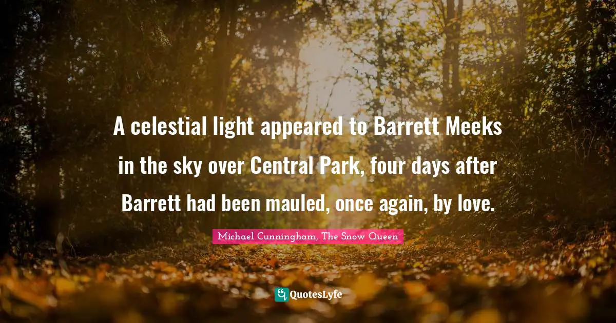 A celestial light appeared to Barrett Meeks in the sky over Central Park, four days after Barrett had been mauled, once again, by love.