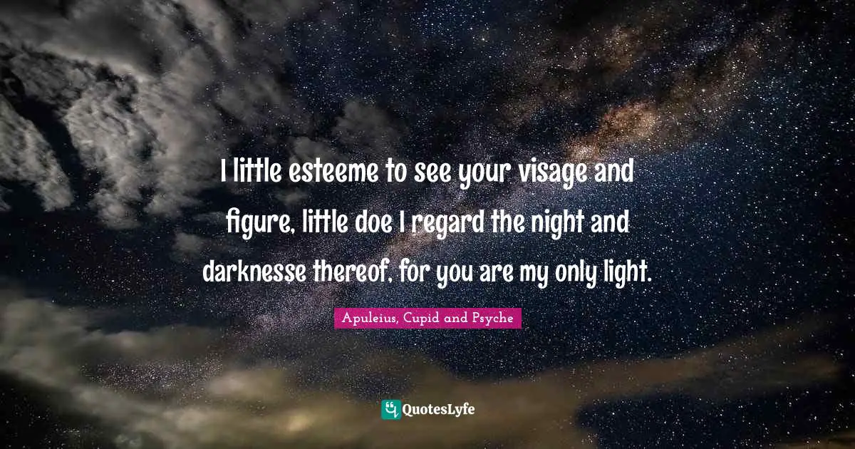 I little esteeme to see your visage and figure, little doe I regard the night and darknesse thereof, for you are my only light.
