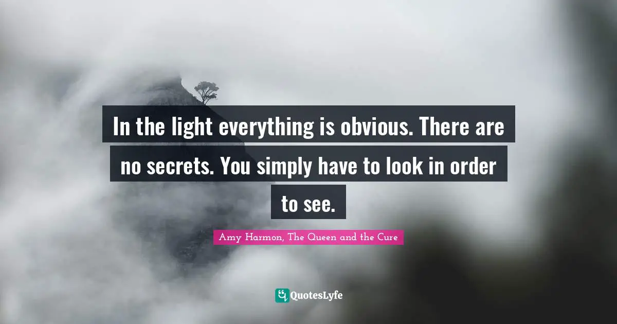 In the light everything is obvious. There are no secrets. You simply have to look in order to see.