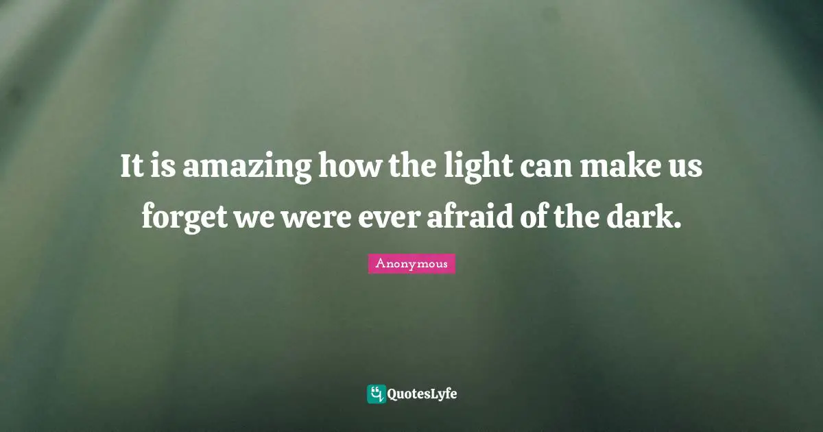 It is amazing how the light can make us forget we were ever afraid of the dark.