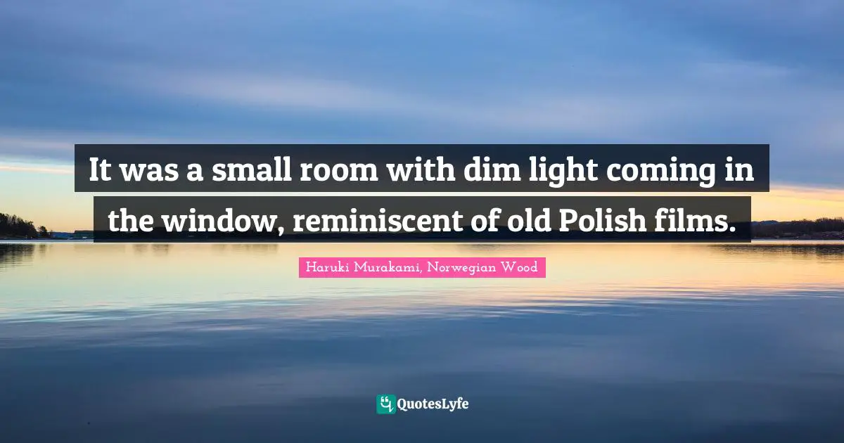 Poland Quotes: "It was a small room with dim light coming in the window, reminiscent of old Polish films."