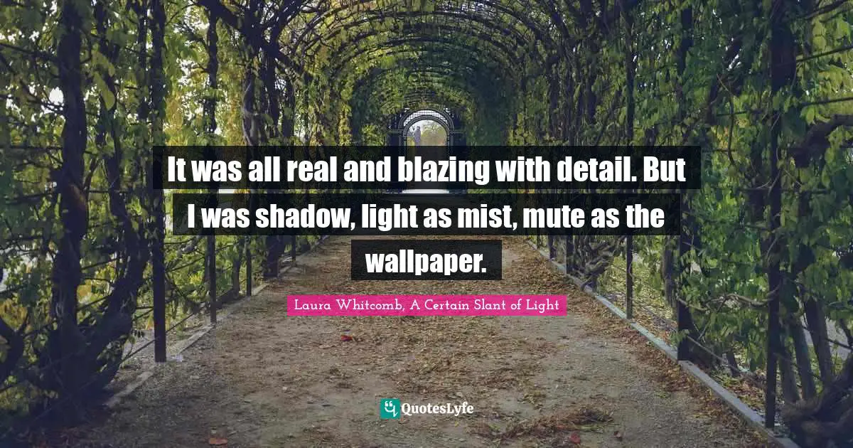 It was all real and blazing with detail. But I was shadow, light as mist, mute as the wallpaper.