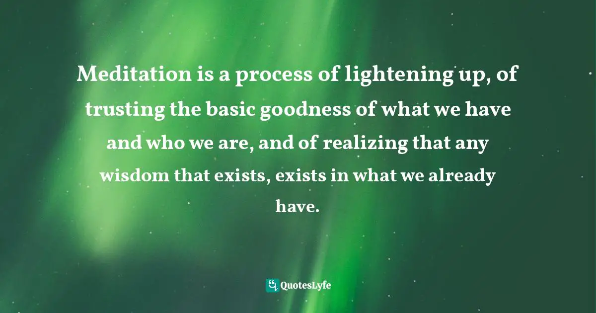 Meditation is a process of lightening up, of trusting the basic goodness of what we have and who we are, and of realizing that any wisdom that exists, exists in what we already have.