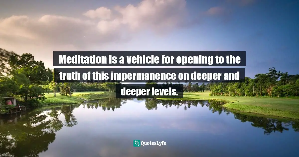 Meditation is a vehicle for opening to the truth of this impermanence on deeper and deeper levels.