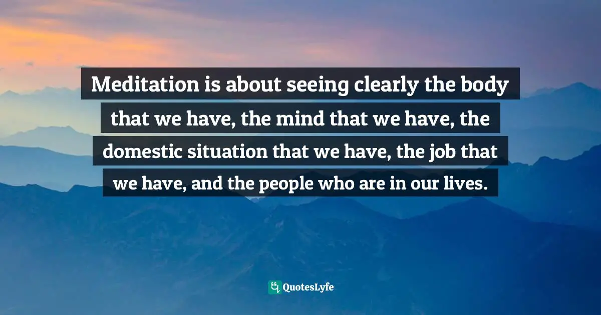 Meditation is about seeing clearly the body that we have, the mind that we have, the domestic situation that we have, the job that we have, and the people who are in our lives.