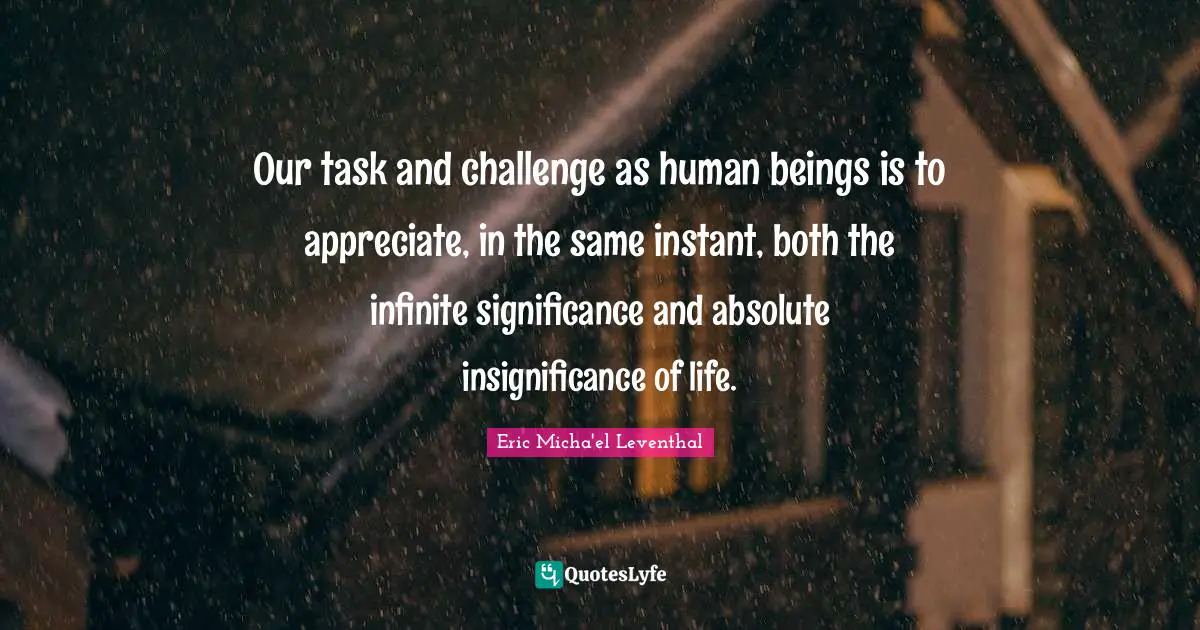 Our task and challenge as human beings is to appreciate, in the same instant, both the infinite significance and absolute insignificance of life.