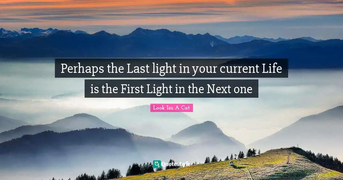 Perhaps the Last light in your current Life is the First Light in the Next one
