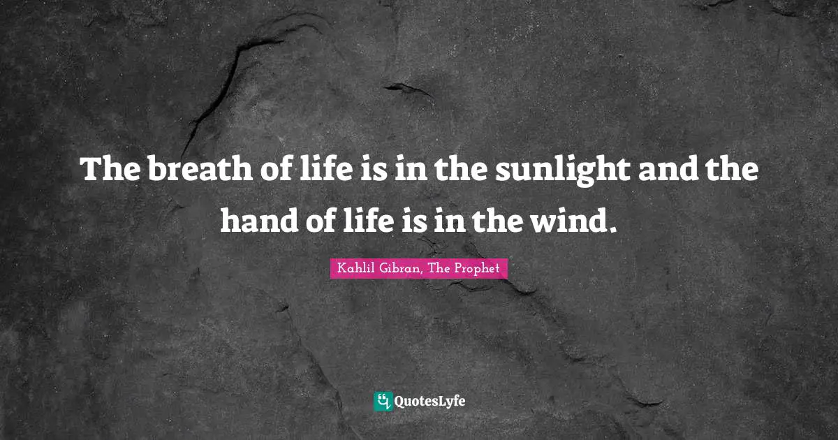 The breath of life is in the sunlight and the hand of life is in the wind.