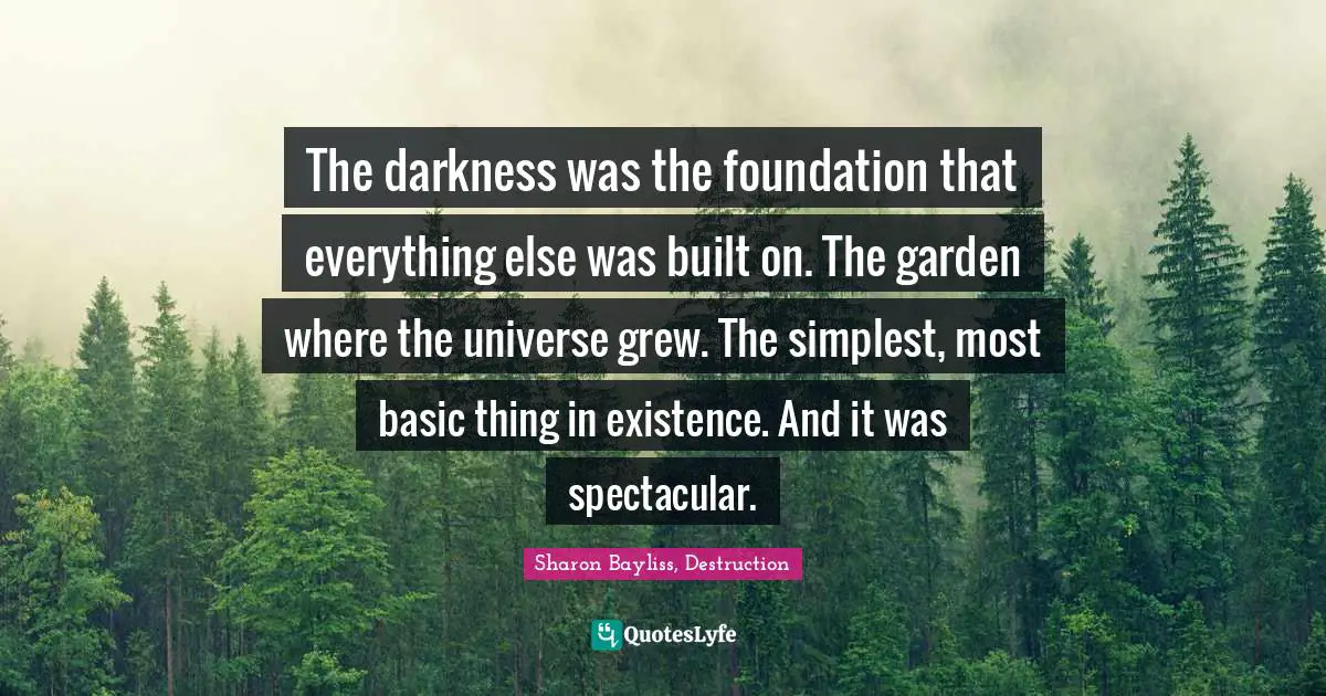 The darkness was the foundation that everything else was built on. The garden where the universe grew. The simplest, most basic thing in existence. And it was spectacular.