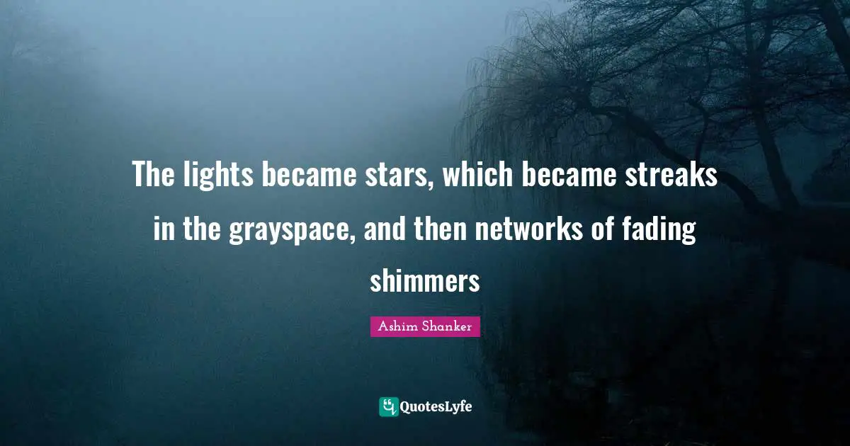 The lights became stars, which became streaks in the grayspace, and then networks of fading shimmers