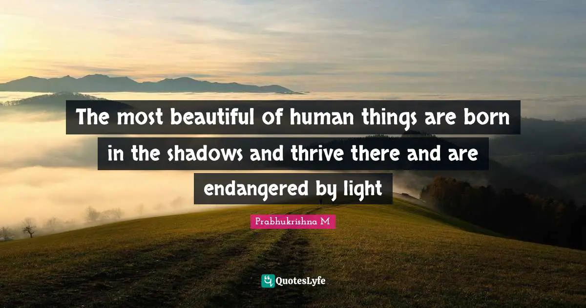 The most beautiful of human things are born in the shadows and thrive there and are endangered by light