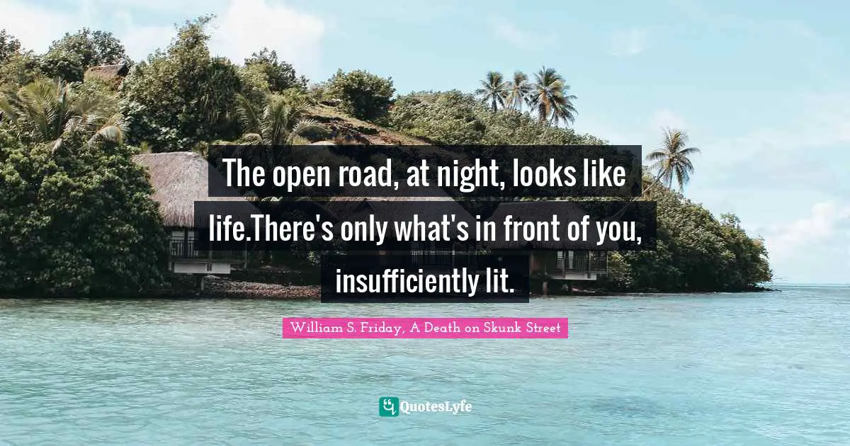 The open road, at night, looks like life.There's only what's in front of you, insufficiently lit.