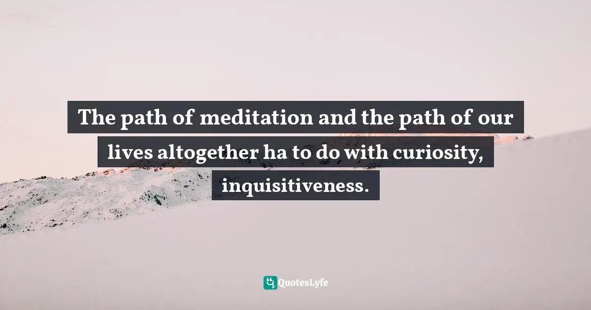 Pema Chödrön, The Wisdom of No Escape: How to Love Yourself and Your World Quotes: The path of meditation and the path of our lives altogether ha to do with curiosity, inquisitiveness.