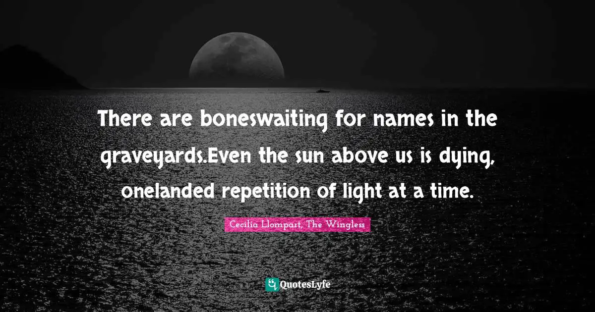 There are boneswaiting for names in the graveyards.Even the sun above us is dying, onelanded repetition of light at a time.