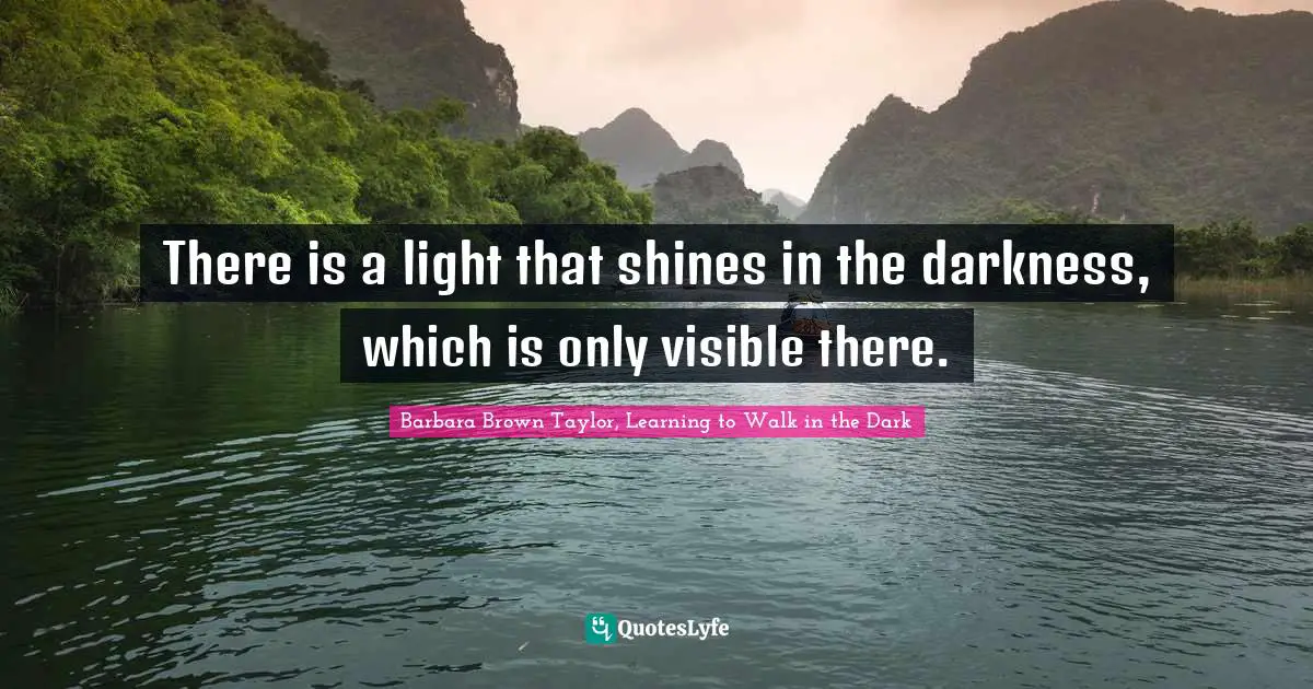 There is a light that shines in the darkness, which is only visible there.
