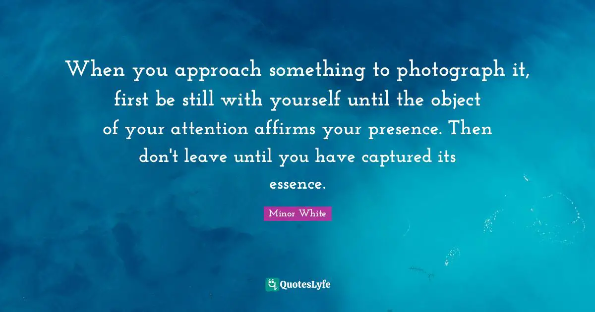 When you approach something to photograph it, first be still with yourself until the object of your attention affirms your presence. Then don't leave until you have captured its essence.