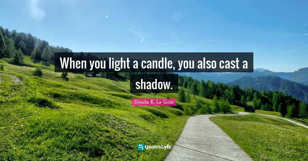 When you light a candle, you also cast a shadow.