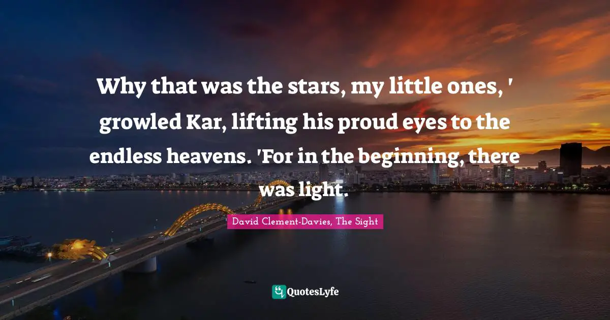 Why that was the stars, my little ones, ' growled Kar, lifting his proud eyes to the endless heavens. 'For in the beginning, there was light.