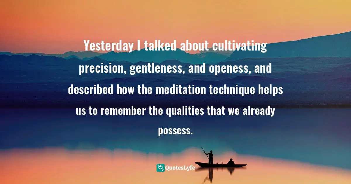 Yesterday I talked about cultivating precision, gentleness, and openess, and described how the meditation technique helps us to remember the qualities that we already possess.