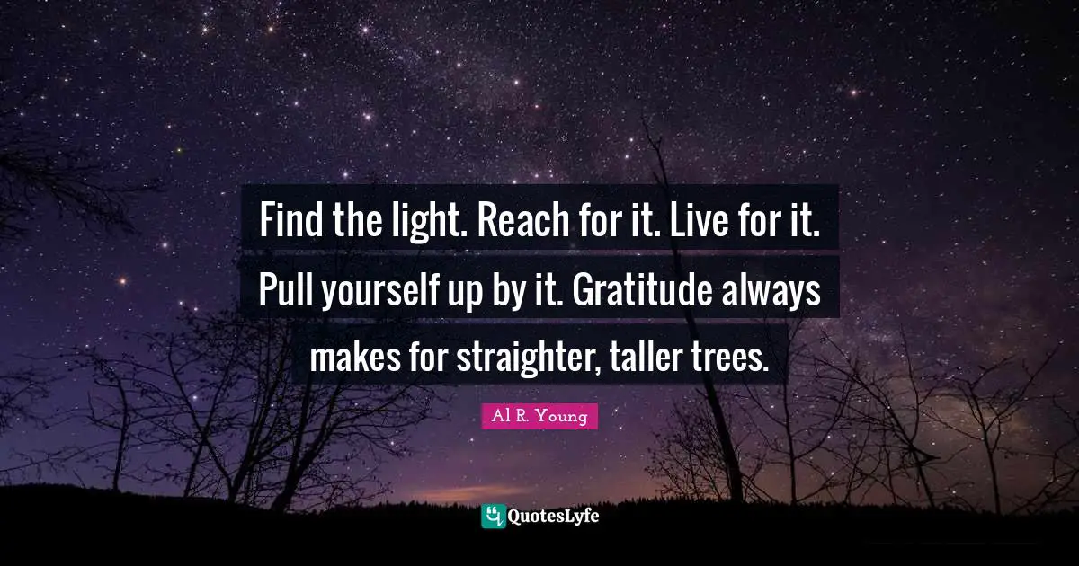Find the light. Reach for it. Live for it. Pull yourself up by it. Gratitude always makes for straighter, taller trees.
