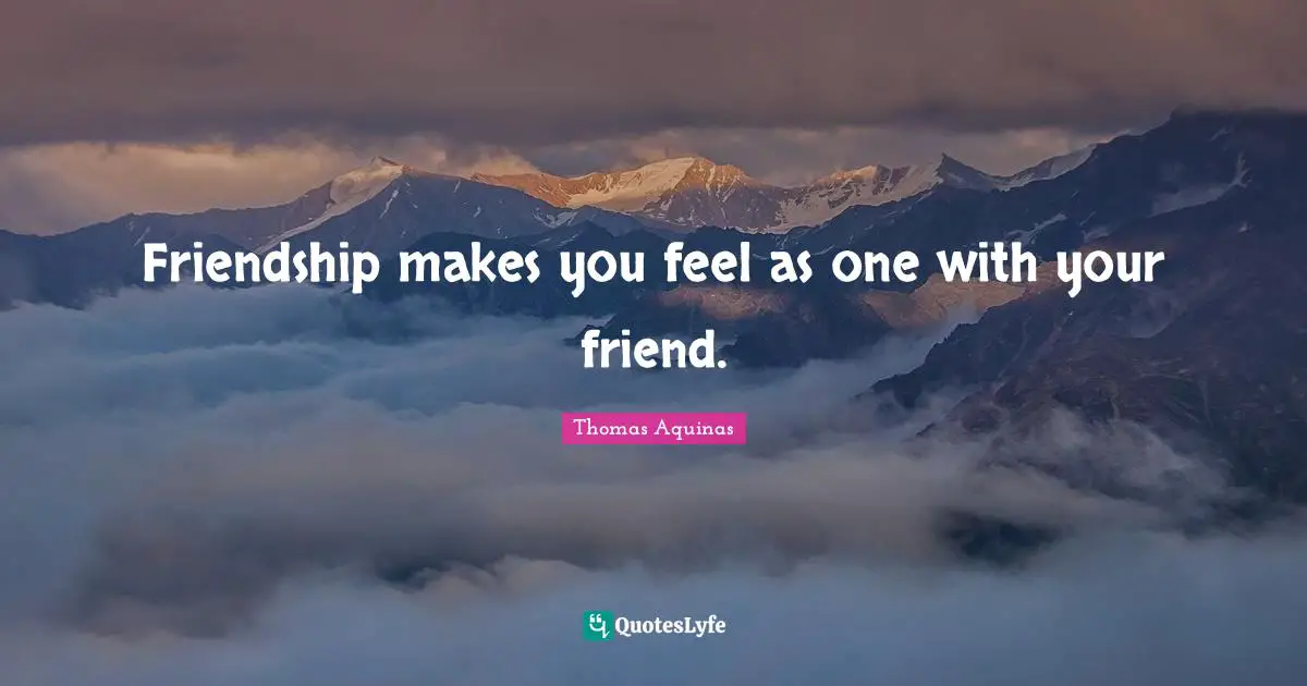 Friendship makes you feel as one with your friend.