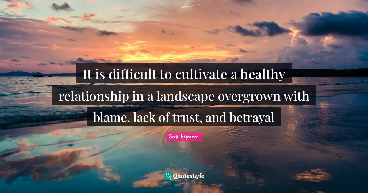 It is difficult to cultivate a healthy relationship in a landscape overgrown with blame, lack of trust, and betrayal