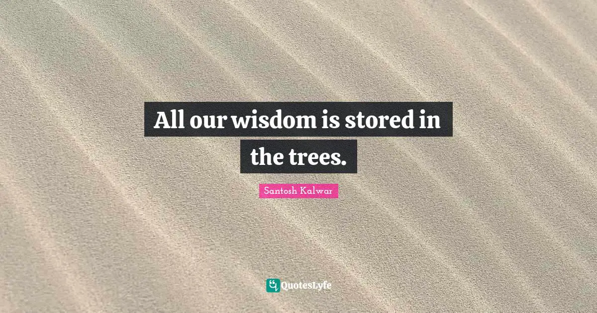 All our wisdom is stored in the trees.