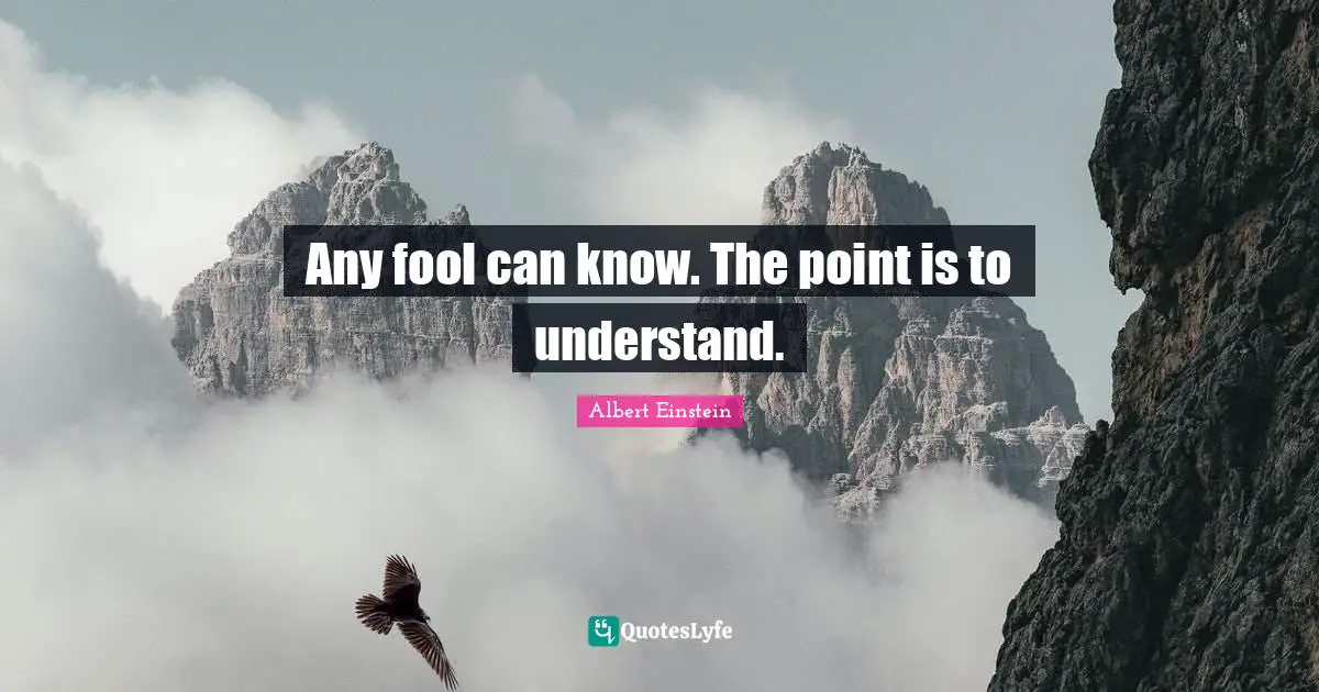 Albert Einstein Quotes: Any fool can know. The point is to understand.