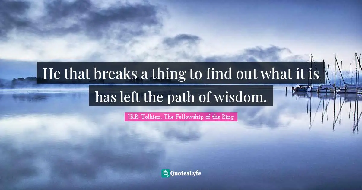 He that breaks a thing to find out what it is has left the path of wisdom.