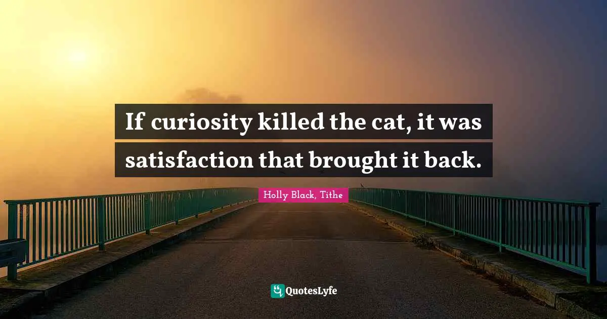 Curiosity Wisdom Quotes: "If curiosity killed the cat, it was satisfaction that brought it back."