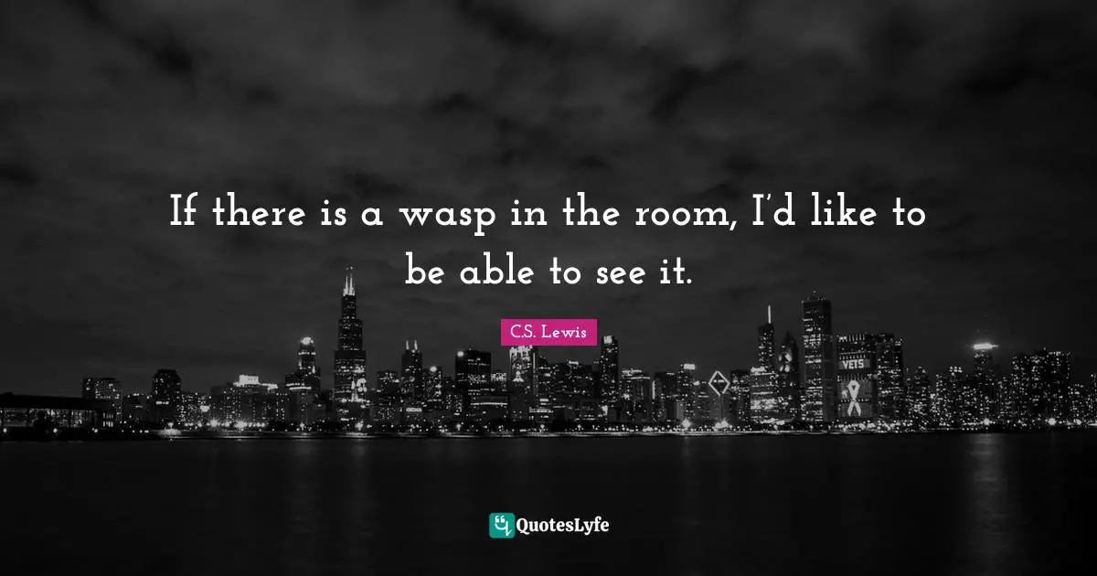 If there is a wasp in the room, I’d like to be able to see it.