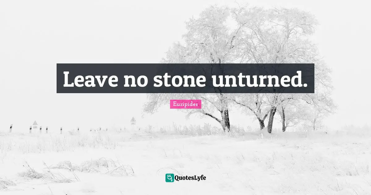 Leave no stone unturned.