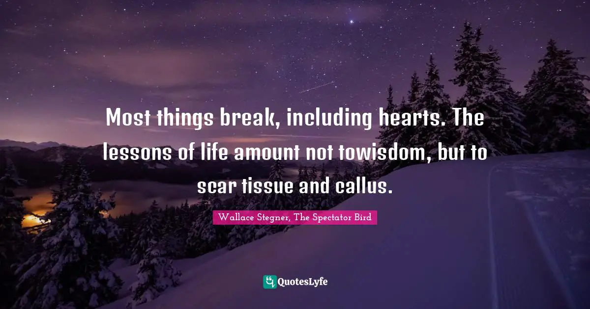Most things break, including hearts. The lessons of life amount not towisdom, but to scar tissue and callus.