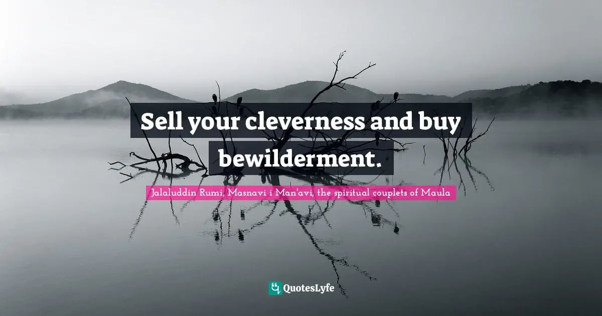 Rumi Quotes: "Sell your cleverness and buy bewilderment."