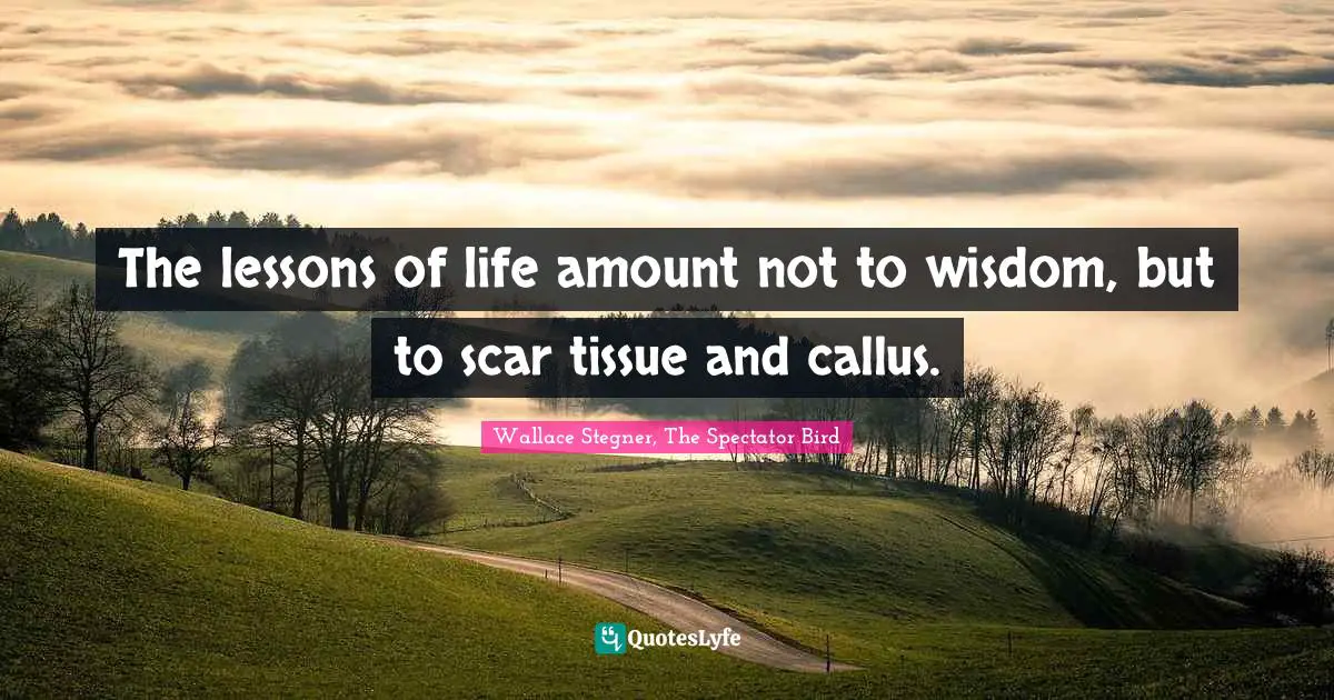 The lessons of life amount not to wisdom, but to scar tissue and callus.